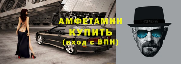 прущие грибы Абаза