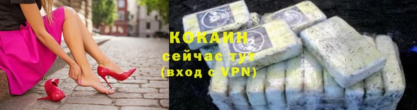 прущие грибы Абаза