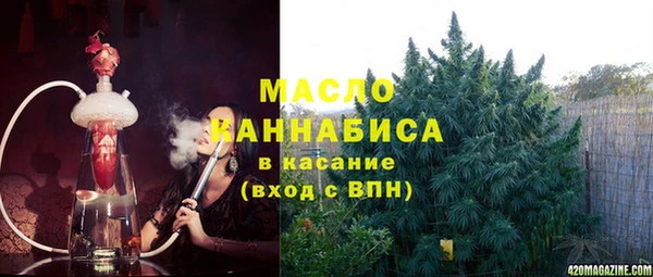 прущие грибы Абаза