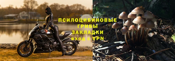 твердый Алзамай