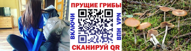 Галлюциногенные грибы MAGIC MUSHROOMS Киренск